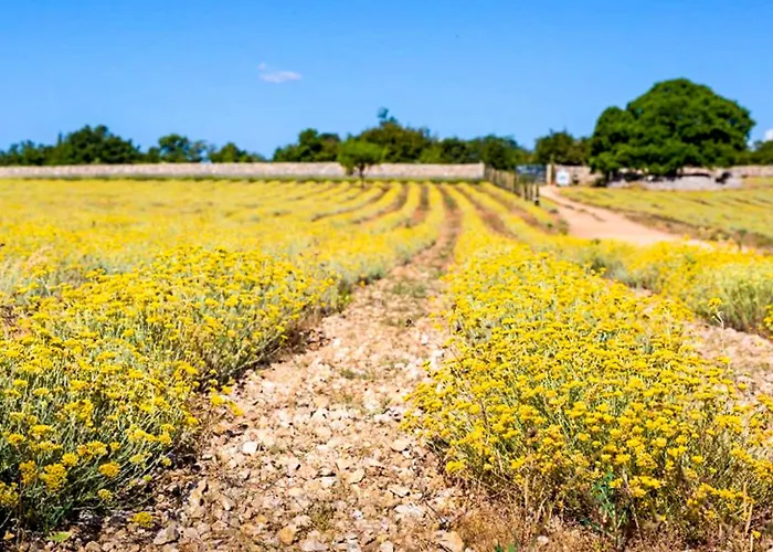 公寓 Cvenkica By Interhome 奥米沙利